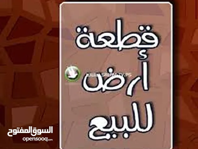 750 م القسام مقابل ابو حديثة ع شارع الرئيسي