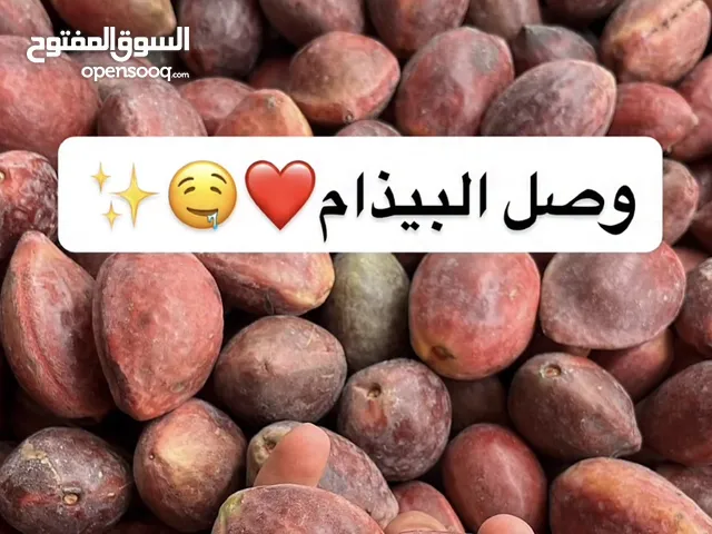وصل البيذام الذيذ