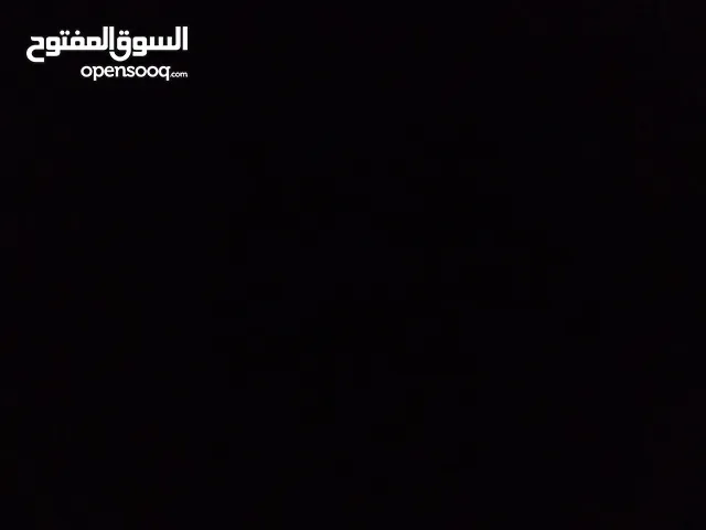اريد كلب لي اربيه