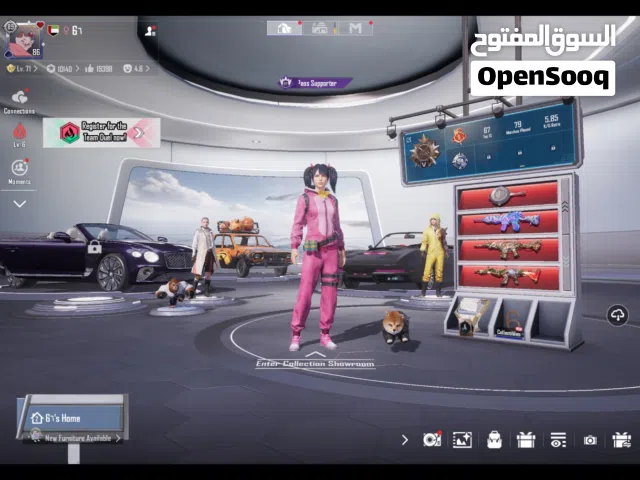 Pubg Accounts and Characters for Sale in Ras Al Khaimah