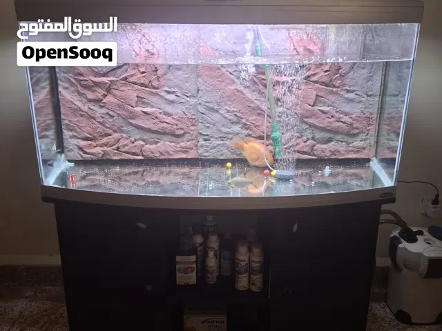 big tank with external filter