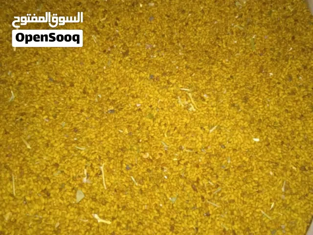 بذر قت عماني 100/100 موجود تقريباً 5 من الي له رغبة