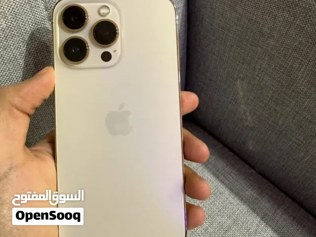 iPhone 13ProMax