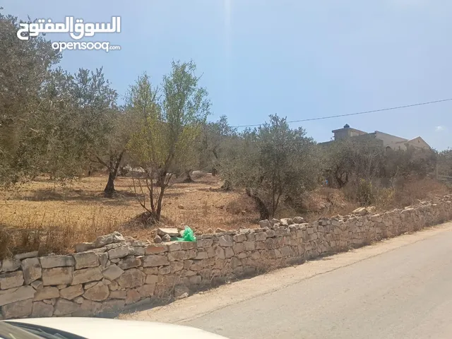 قطعة ارض بمساحة 550متر مربع نابلس -نصف اجبيل شمال غرب نابلس ارض فيها زيتون وبتنفع لكل اشي وسعر نار