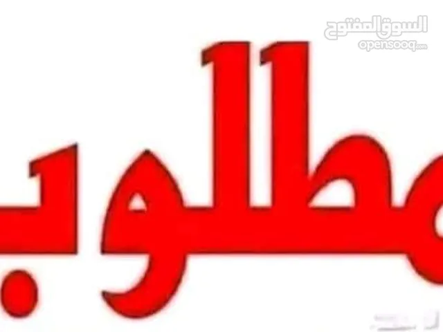 السلام عليكم مطلوب انتايات ألماني فراشة او هجين بابيون