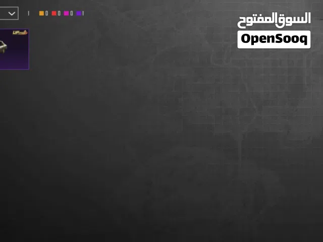 Pubg Accounts and Characters for Sale in Irbid