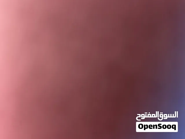 مطلوب كبش اسود