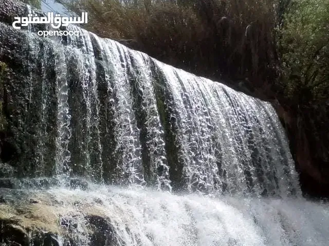 Farm Land for Sale in Batna Other