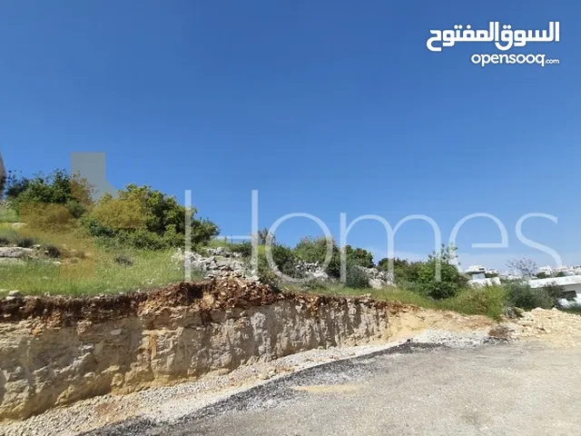 Residential Land for Sale in Amman Badr Jdedeh