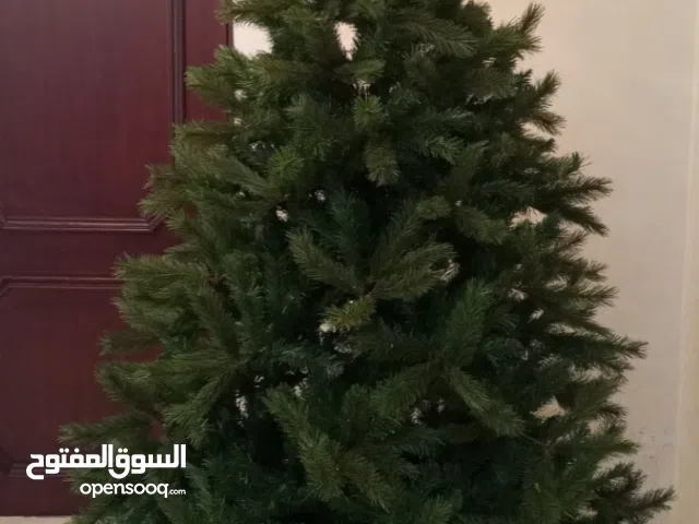 شجرة عيد الميلاد للبيع