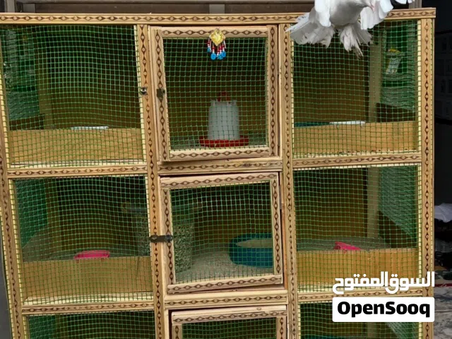 قفص خشبي+طيور زينه