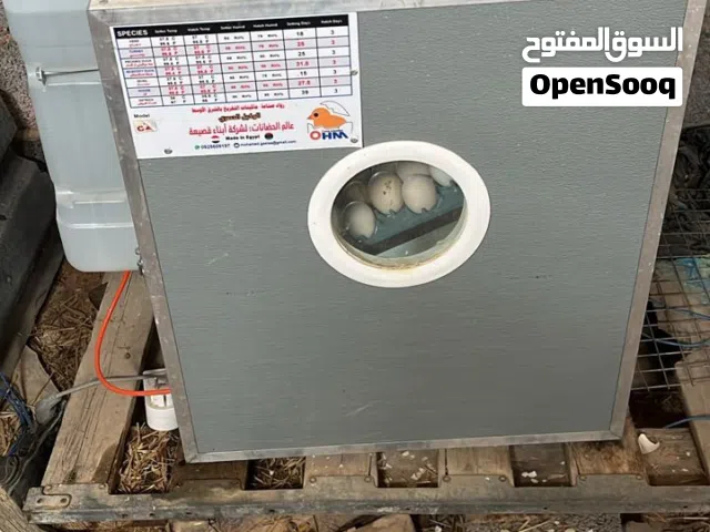 مشروع شواشيو