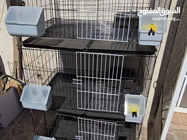 يتوفر لدينا الاقفاص المصريه 3 أنواع مختلفه للحمام والسمان الفري والكتاكيت