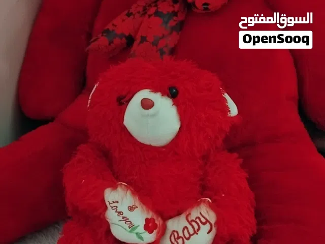 دب حجم كبير للبيع
