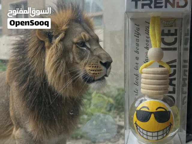 فواحة عربية ماركة ترند حجم 10مللى  Trend Air Fresheners