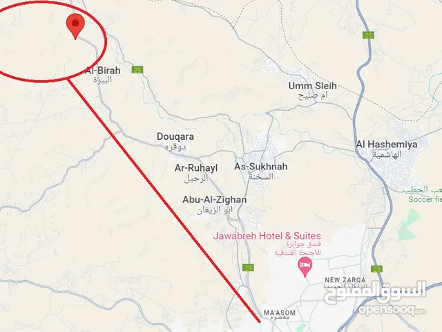 الزرقاء صروت – حدد - قطع اراضي مساحات 10 دونم للبيع، متلاصقة بمجموع 110 دونم