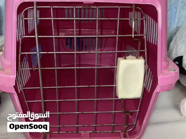 مستلزمات قطط اقراء الوصف