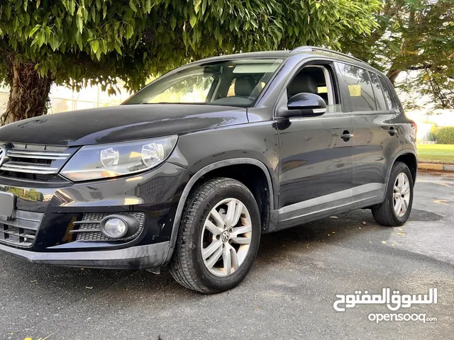 Volkswagen Tiguan 2013