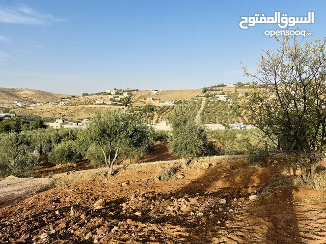 Residential Land for Sale in Zarqa Birayn