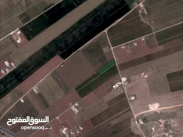 Farm Land for Sale in Irbid Al Sareeh