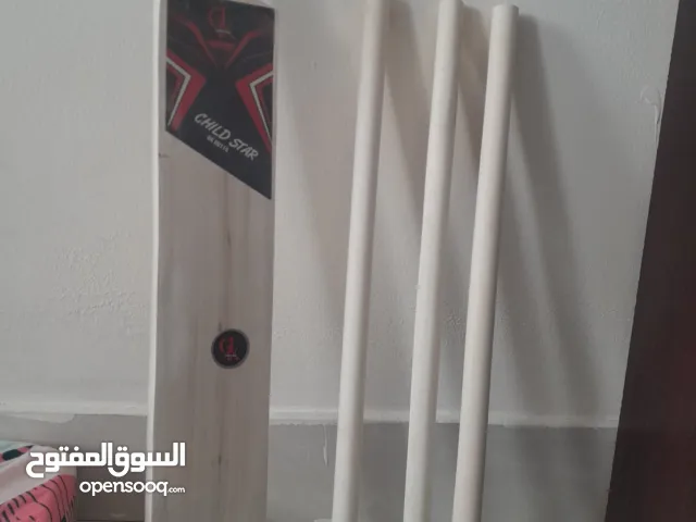 cricket bat with 3 sticks and bag very good quality