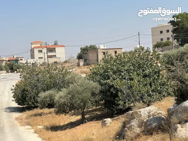 ارض في شفا بدران مساحتها 808 مقابل مدارس البنفسج شارع سهيل بن قيس