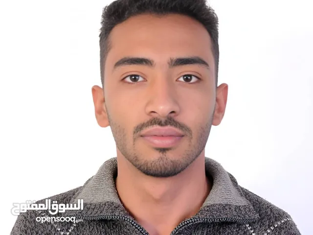 محمد سامي الورد