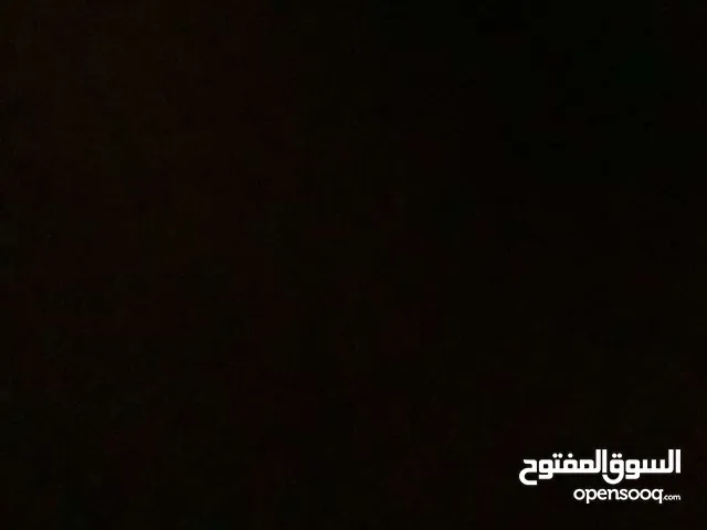 مطلوب سكن شباب