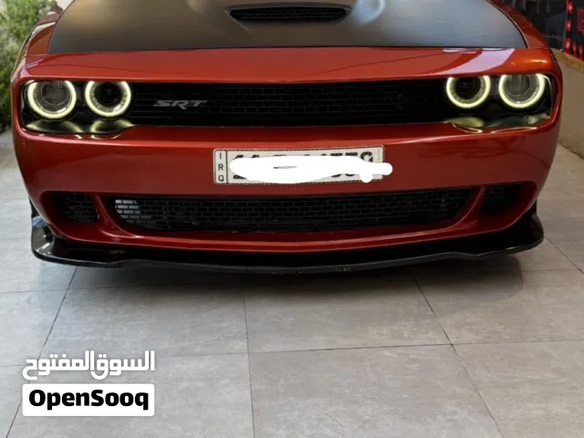 جالنجر 2022 للبيع