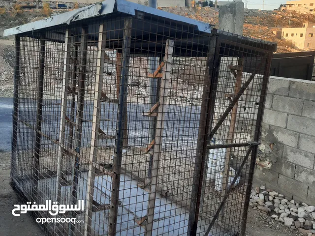 قفص حديد للحيوانات