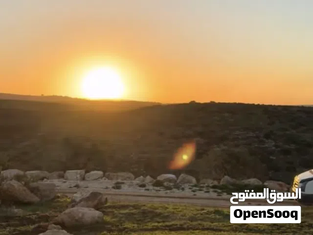 Mixed Use Land for Sale in Jenin Deir Abu Da'If