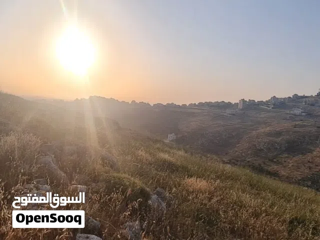 Residential Land for Sale in Nablus New Nablus