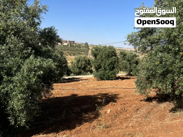 Farm Land for Sale in Jerash Dahl
