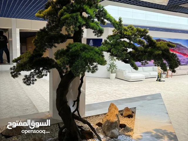 توفير جميع أنواع النباتات الطبيعية و الصناعية