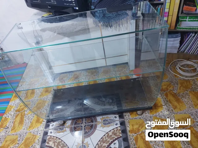 فاترينا جام بـ30