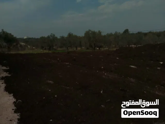 Mixed Use Land for Sale in Tulkarm Atil