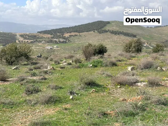 Mixed Use Land for Sale in Jerash Unaybah