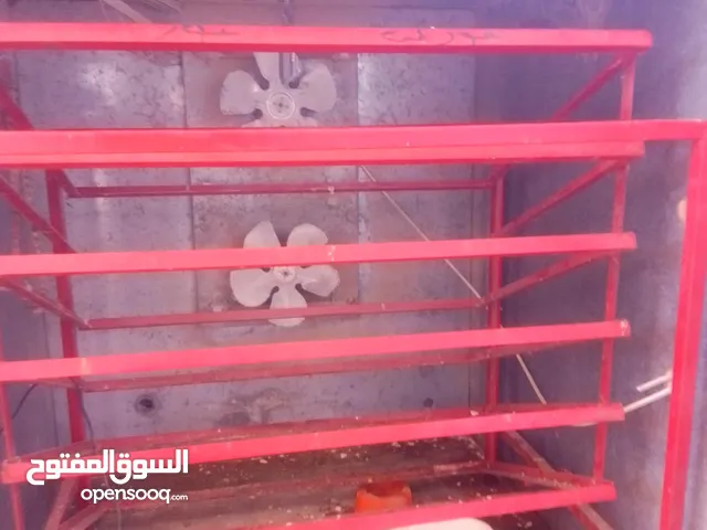 فقاسه نيو ستار 1250 بيضه بحاله الوكاله صيانه كامله ولا ناقصه شي نسبه نفقيس 90 %