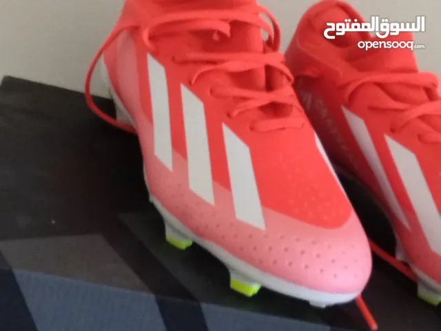 40.5 Sport Shoes in Amman