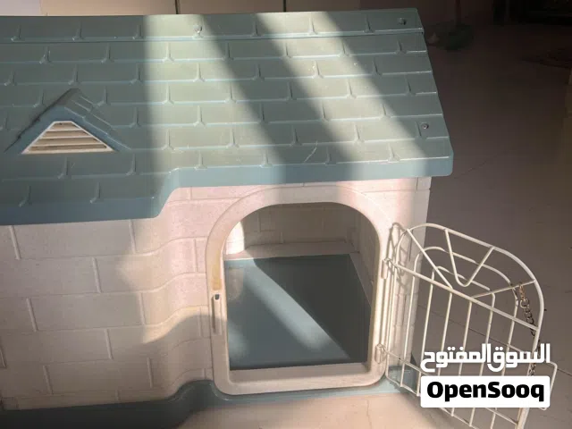 بيت قطط جميل