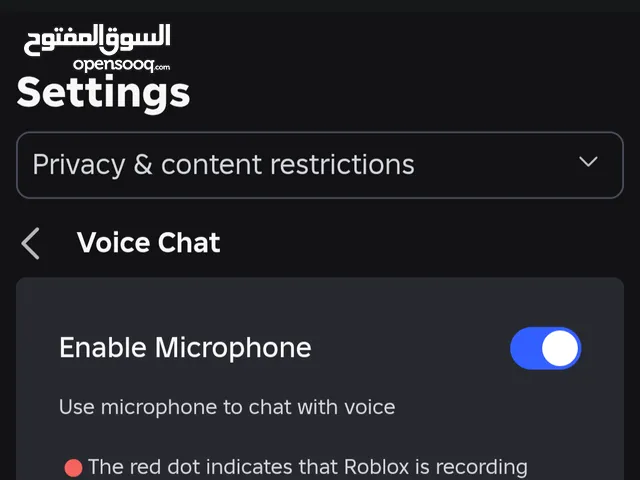 تفعيل مايك روبلوكس