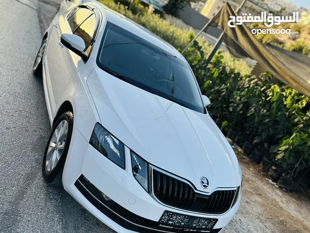 اكتافيا ترخيص 2019 دهان شركة كرتونة حمامة بيضاء