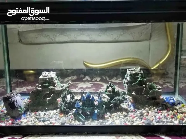 AQUARIUM FISH TANK
