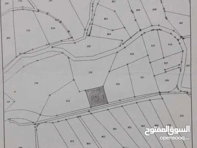 Farm Land for Sale in Ajloun Kuforanja