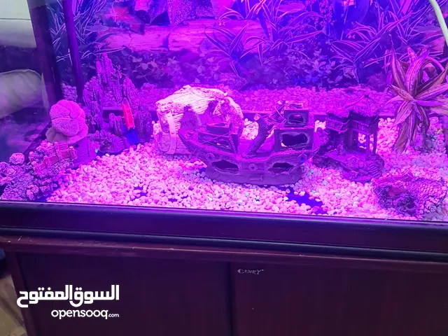 حوض للأسماك ثقيل