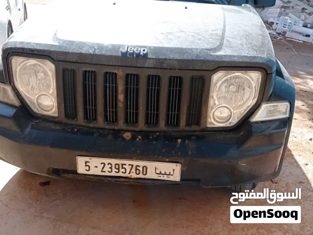 2012 جيب اخرى