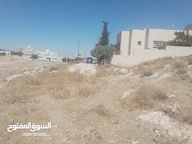 Residential Land for Sale in Amman Shafa Badran