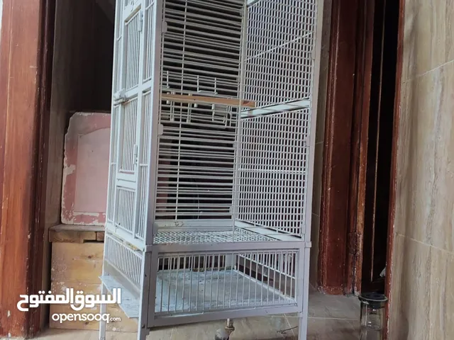 قفص ببغاء عصافير للبيع او للبدل