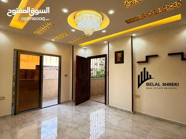 العرض 1147