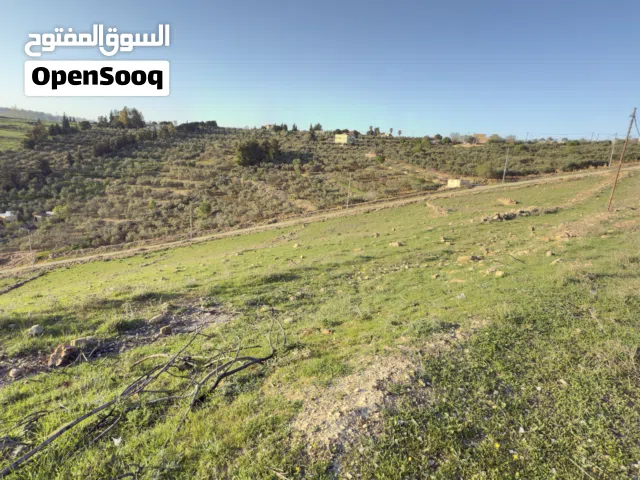 Residential Land for Sale in Salt Al Balqa'